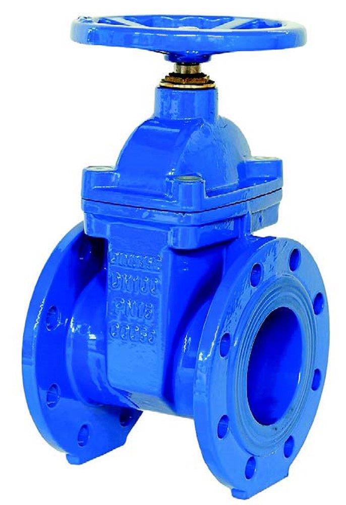 a-collection AVI 1270 Gate Valve GGG50/420/NBR - 65, 16bar