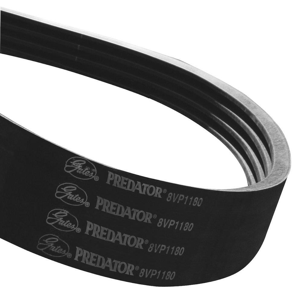 Gates Predator V-belt SPBP 5600 - 5600mm, 5PCS