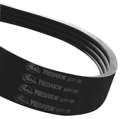 Gates Predator V-belt SPBP 5600 - 5600mm, 5PCS