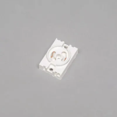 Holder for igniter