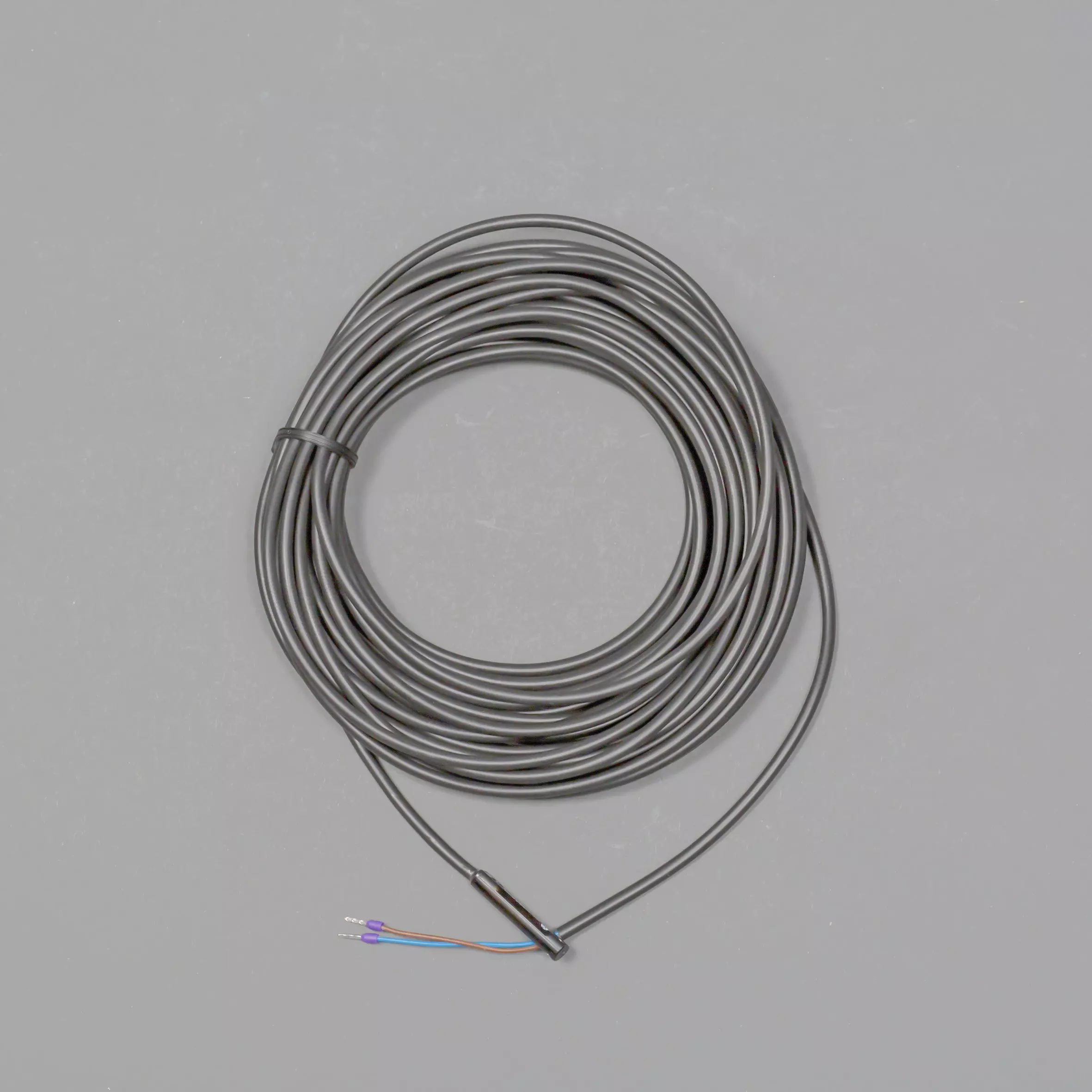 Berson Reed Switch, 10 V