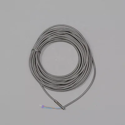 Berson Reed Switch, 10 V