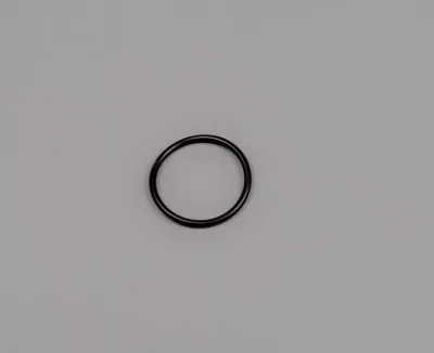 BWT/Bewades O-Ring for Sensor Holder ONORM / DVGW