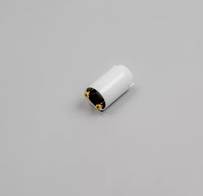 BWT/Bewades Starter for 80W UV Lamp