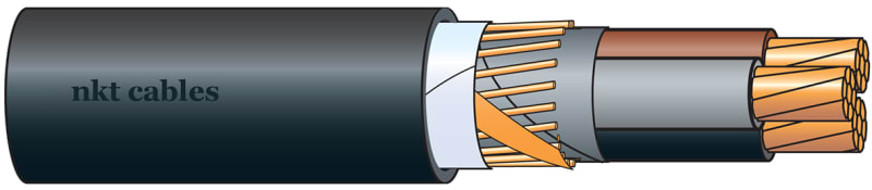 IFSI 1KV3X50/25 FR (1056728)