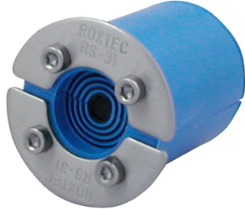 RS 31 AISI316 (RS00100311023)