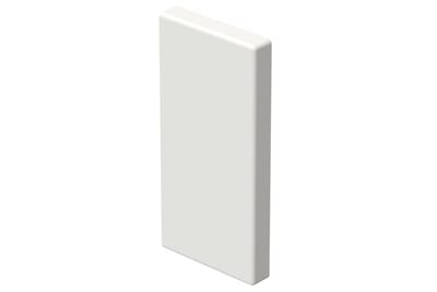 End piece 110/52 White RAL9003