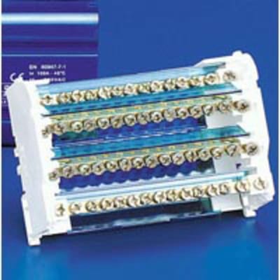 nVent ERIFLEX TD40A Four Pole Distribution Block, 40 A, 2 Line Side & 11 Load Side Connections