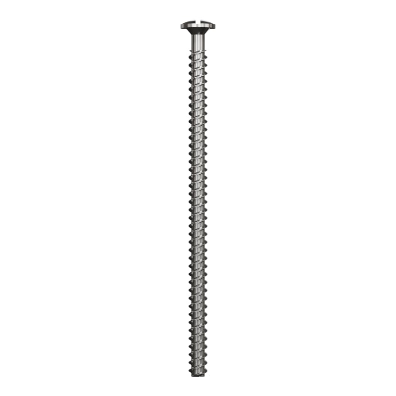 55mm screw for box (EKO07449)
