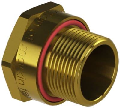 Blanking Plug TEF794 M63 Brass EXED