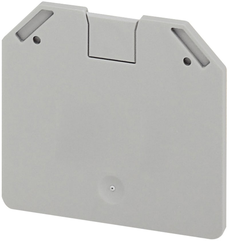 Schneider Electric Linergy TR End Plate for NSYTRV162 Terminal Block, Grey (NSYTRAC162)