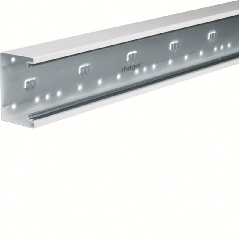 TRUNKING Base 66X100X2000MM PH (BRS6510019016)