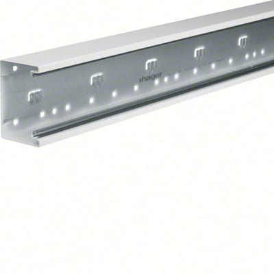 TRUNKING Base 66X100X2000MM PH