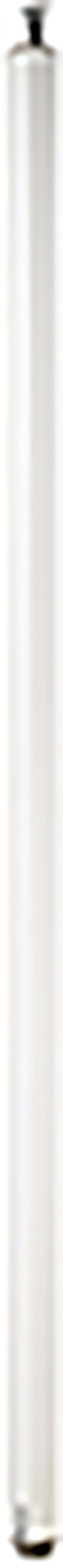 Schneider Electric Pole, OptiLine 45, tension-mounted, one-sided, 2700-3100 mm, polar white ISM20101P