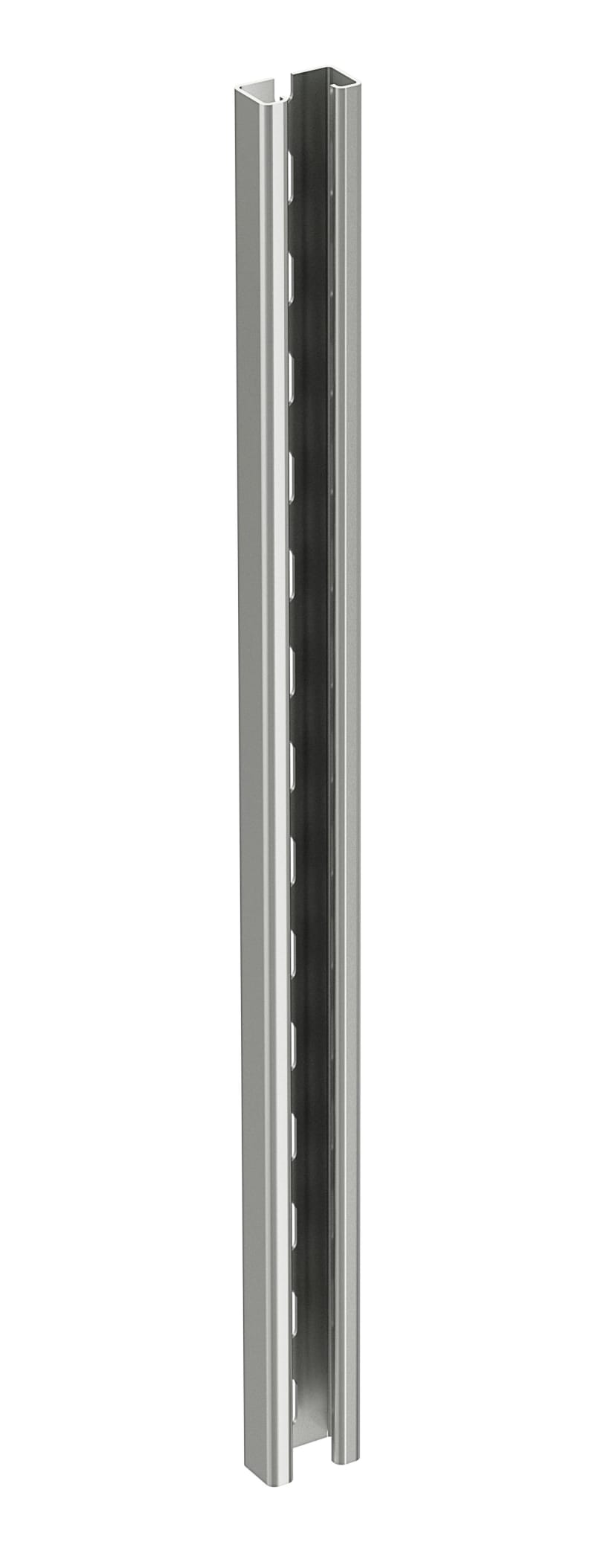 P/A rail 24/48 1M AISI316L (CSU795566)