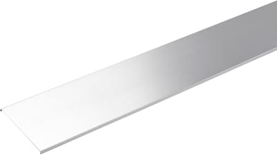 Cable trunking cover 120 2M Fzs