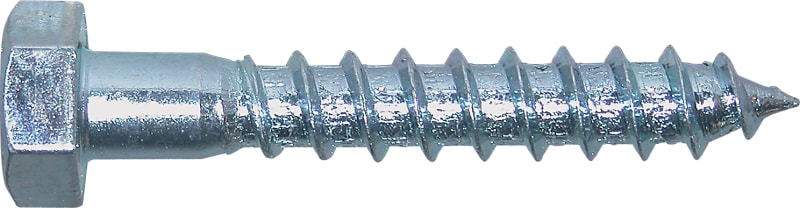 Coach Screw M10,0X120ELZ (0008/001/01 10,0X120)