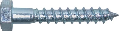 Coach Screw M12,0X60ELZ