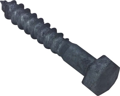 Coach Screw M10,0X100VG