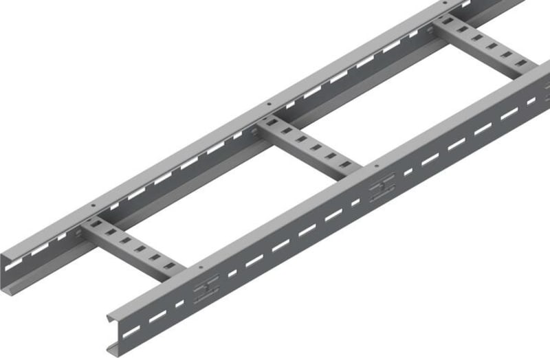 Ladder LOE-55-200MM SS 3M (LOE-55-200 Ss)