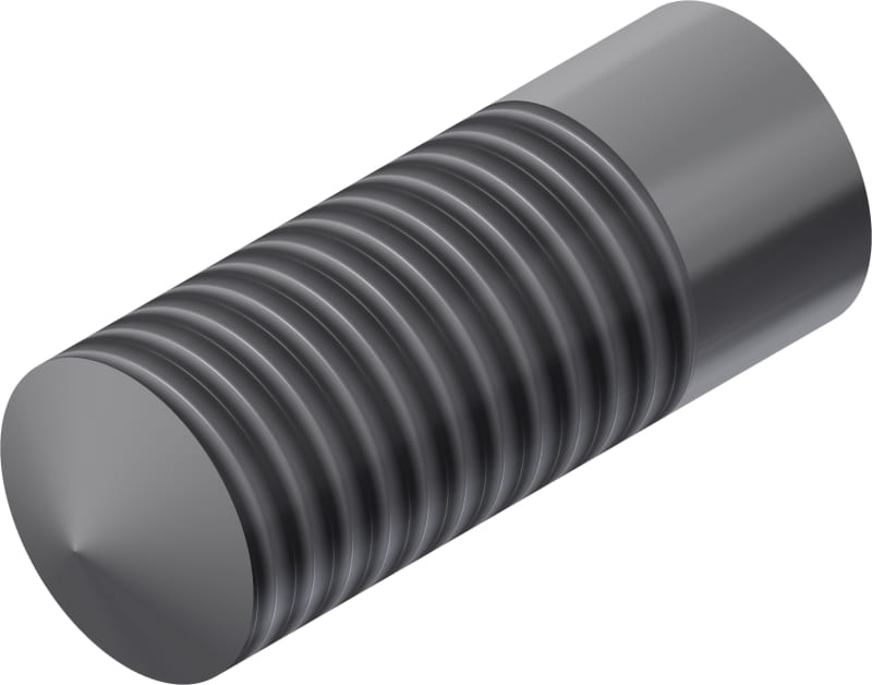 BO-STD-M10X25 SS (1372896)