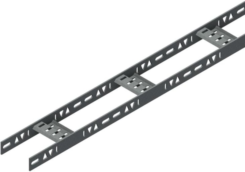 RZE-R-100 (ladder RZE-R-100 Hdg)