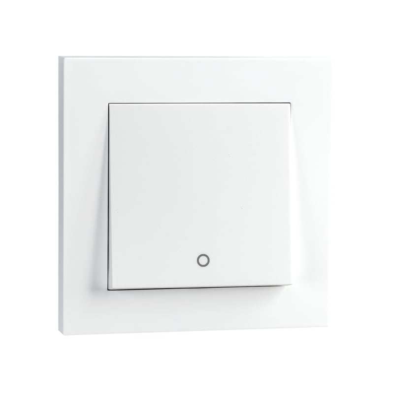 Switch IF 2-Pole White (76010)