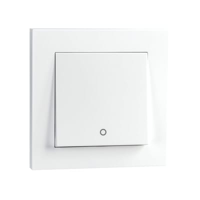 Switch IF 2-Pole White