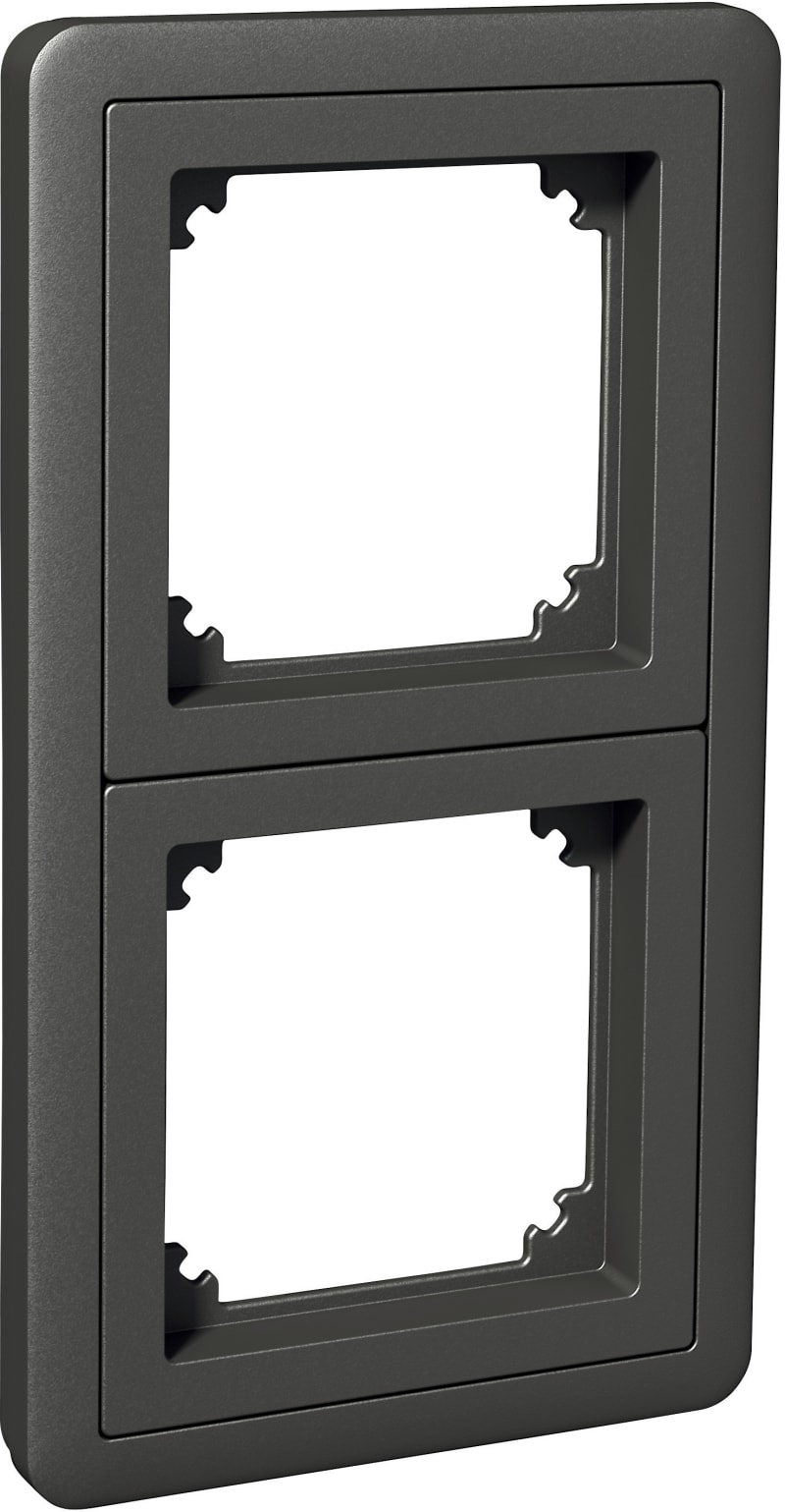 2-hole combination frame anthracite (WDE003802)