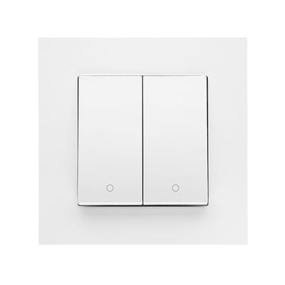 Recessed Switch 16 A, 2+2, Screw Terminals, S55, Matt White