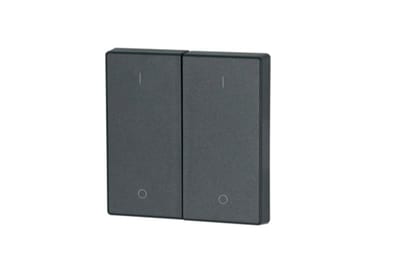Eaton Double Rocker Anthracite 55x55 mm 1/0