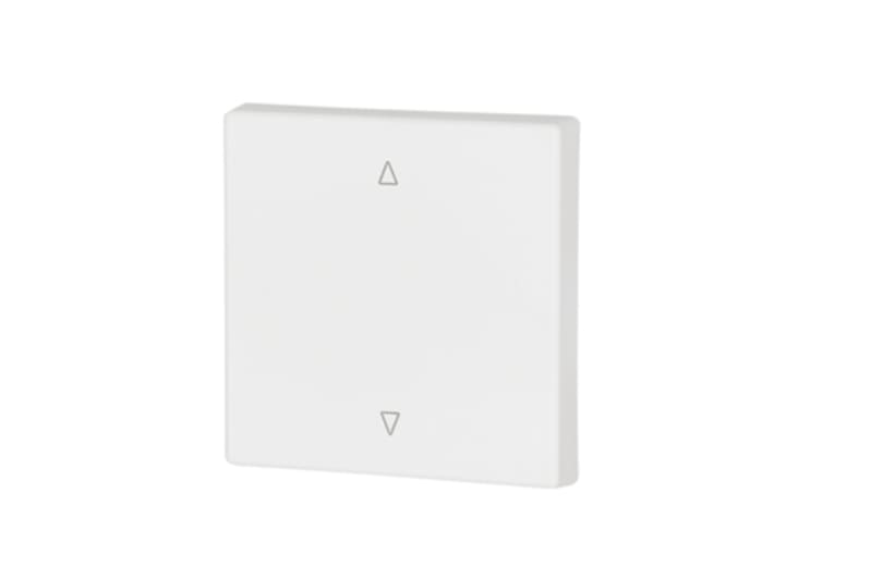Eaton 147613 CWIZ-01/21 Single Rocker White 55x55 mm Up/Down Arrows