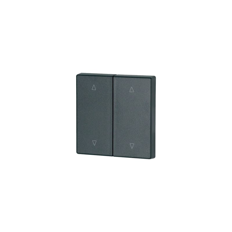 Eaton Double Rocker Matte Black 55x55 mm Up/Down (CWIZ-02/29)