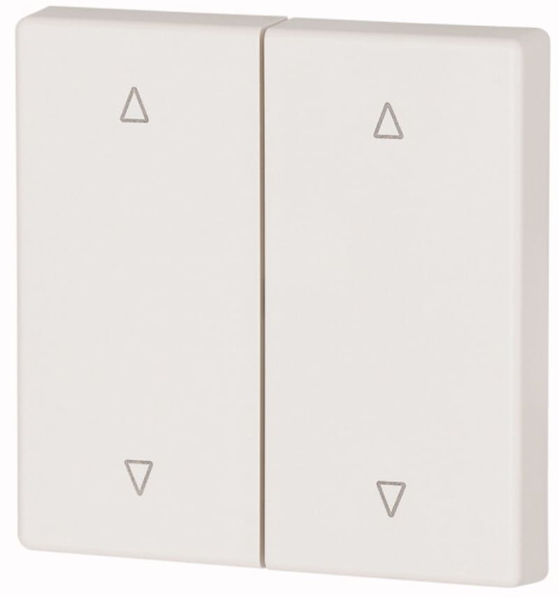 Eaton Alpine White Double Rocker 55x55 mm Up/Down (CWIZ-02/57)