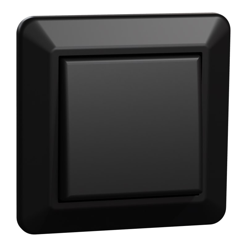Switch 1 Pole Flush RS Black (EKO40000)