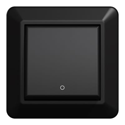 Switch 2 Pole Flush RS Black