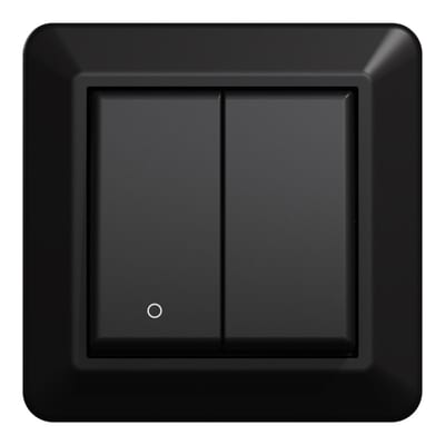 Switch 2+1 Pole Flush RS Black
