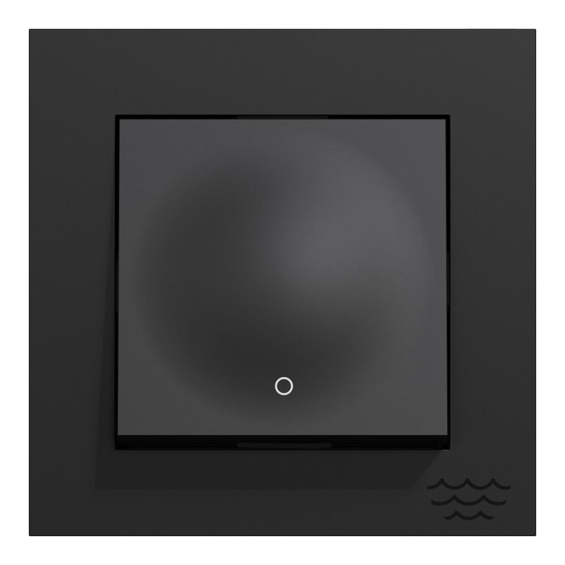 Switch 2 Pole Flush Plus HP Black (EKO30005)