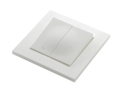 PLUS Switch Recessed 2-1 POLAR WHITE