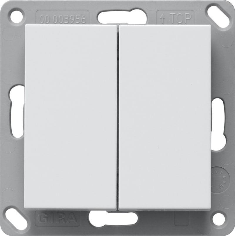 Wall Transmitter Bluetooth, Double, System 55, Glossy White (GI246203)