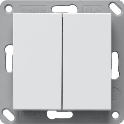 Wall Transmitter Bluetooth, Double, System 55, Glossy White