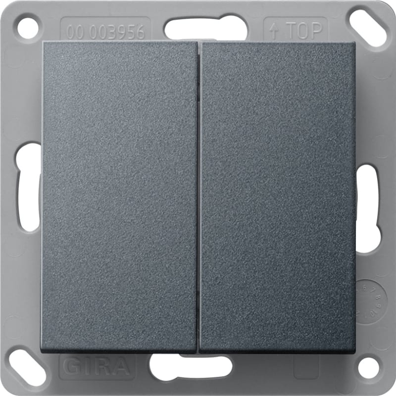 Wall Transmitter Bluetooth, Double, System 55, Anthracite (GI246228)