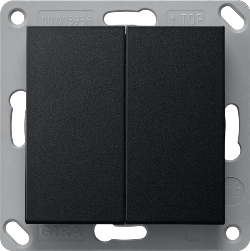 Wall Transmitter Bluetooth, Double, System 55, Black Matt (GI2462005)