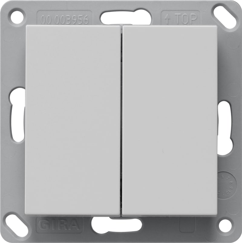 Wall Transmitter Bluetooth, Double, System 55, Grey Matt (GI2462015)