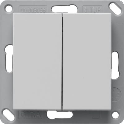 Wall Transmitter Bluetooth, Double, System 55, Grey Matt