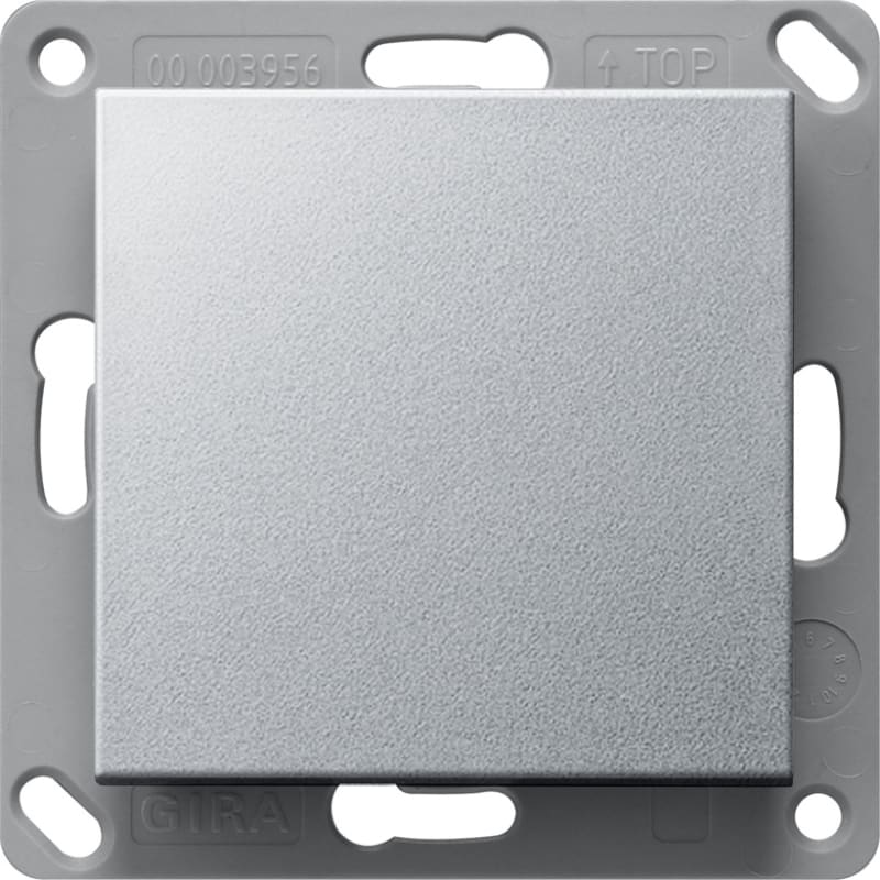 Wall Transmitter Bluetooth, Single, System 55, Aluminium Colour (GI246126)