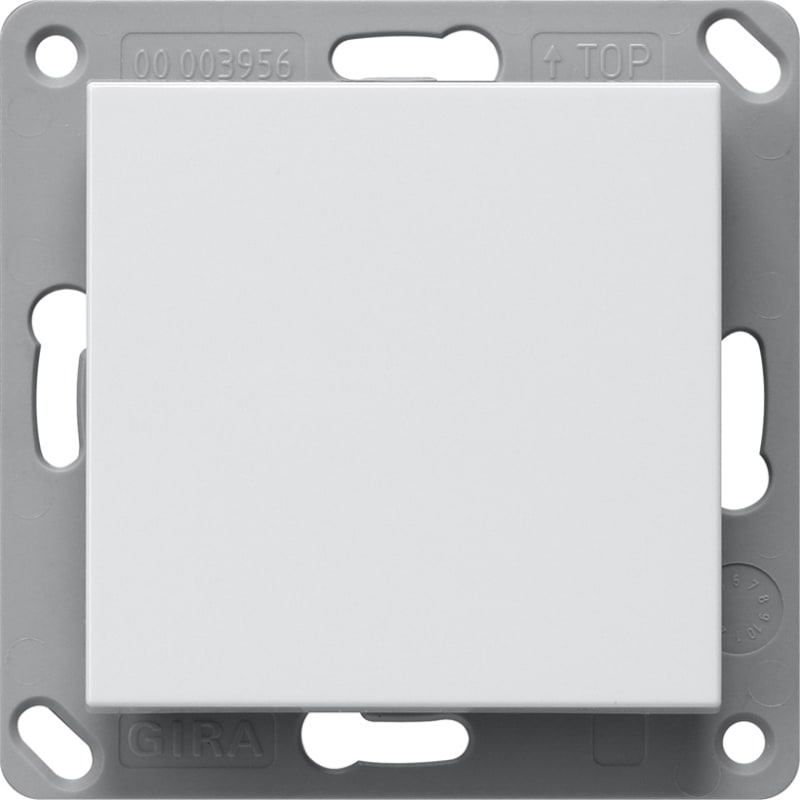 Wall Transmitter Bluetooth, Single, System 55, Pure White Matt (GI246127)