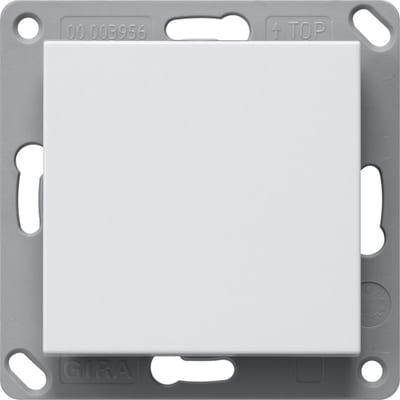 Wall Transmitter Bluetooth, Single, System 55, Pure White Matt
