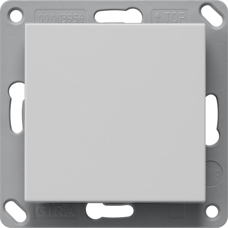 Wall Transmitter Bluetooth, Single, System 55, Grey Matt (GI2461015)