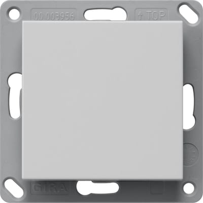Wall Transmitter Bluetooth, Single, System 55, Grey Matt